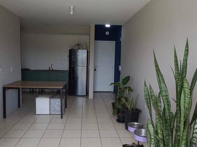 #803 - Apartamento para Venda em Jundiaí - SP - 1