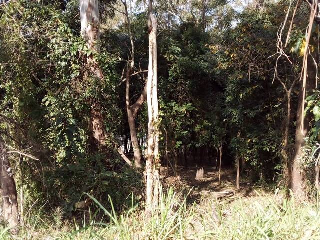 Área para Venda em Jundiaí - 3